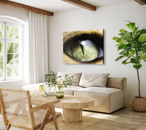 Paul Sinus Art 120x80cm Wandbild auf Leinwand Makrofotografie Katzenauge Raubkatze Auge Bis zu 55% Rabatt