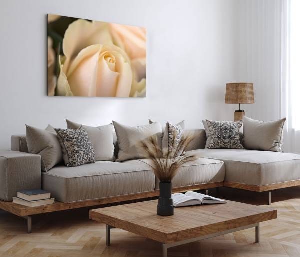 Paul Sinus Art 120x80cm Wandbild auf Leinwand Weiße Rose Rosenblüte Makro Fotokunst Blume Discount Store für neue Produkte