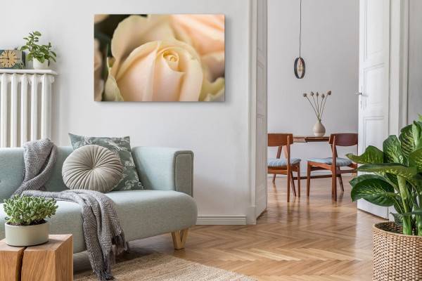 Paul Sinus Art 120x80cm Wandbild auf Leinwand Weiße Rose Rosenblüte Makro Fotokunst Blume Discount Store für neue Produkte