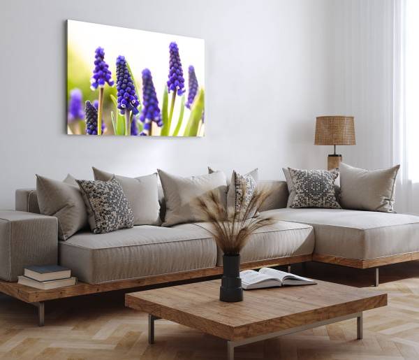 Paul Sinus Art 120x80cm Wandbild auf Leinwand Lavendel Nahaufnahme Violett Natur Grün Nur noch ein Tag übrig