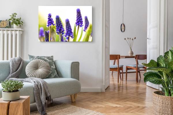 Paul Sinus Art 120x80cm Wandbild auf Leinwand Lavendel Nahaufnahme Violett Natur Grün Nur noch ein Tag übrig