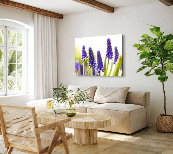 Paul Sinus Art 120x80cm Wandbild auf Leinwand Lavendel Nahaufnahme Violett Natur Grün Nur noch ein Tag übrig