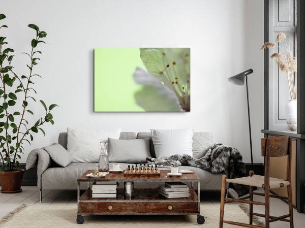 Paul Sinus Art 120x80cm Wandbild auf Leinwand Nahaufnahme Fotokunst Blume Blüte Grün Super Rabatt