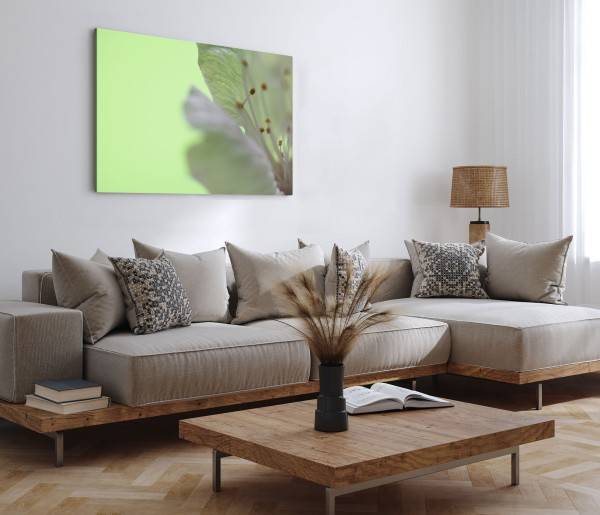 Paul Sinus Art 120x80cm Wandbild auf Leinwand Nahaufnahme Fotokunst Blume Blüte Grün Super Rabatt