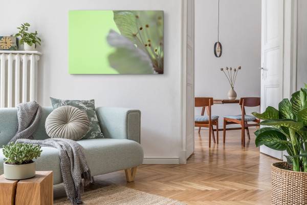Paul Sinus Art 120x80cm Wandbild auf Leinwand Nahaufnahme Fotokunst Blume Blüte Grün Super Rabatt