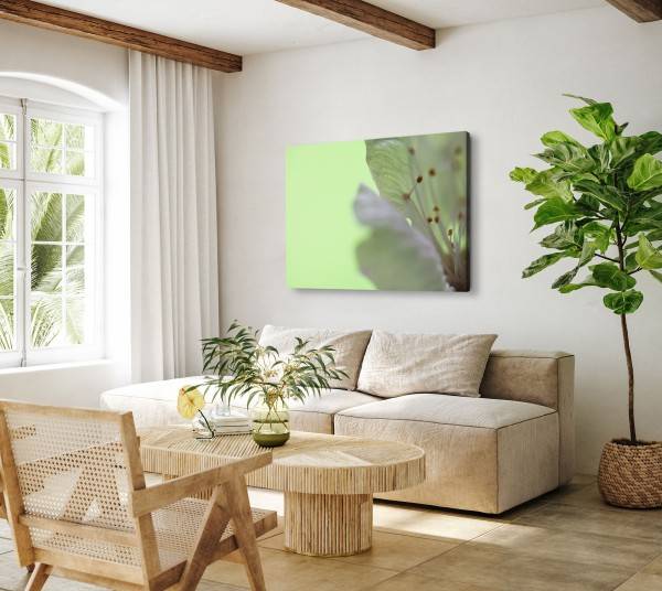 Paul Sinus Art 120x80cm Wandbild auf Leinwand Nahaufnahme Fotokunst Blume Blüte Grün Super Rabatt