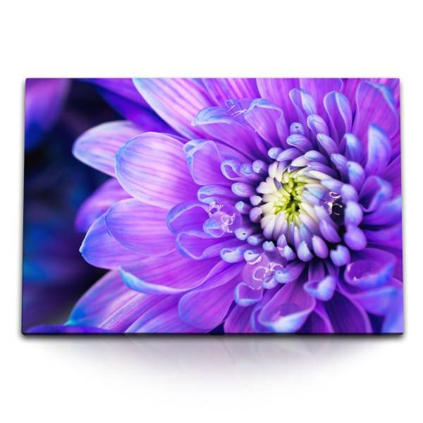 Paul Sinus Art 120x80cm Wandbild auf Leinwand Violette Blume Blüte Nahaufnahme Kunstvoll