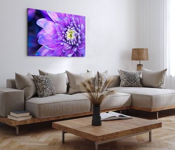 Paul Sinus Art 120x80cm Wandbild auf Leinwand Violette Blume Blüte Nahaufnahme Kunstvoll 50% Rabatt mit kostenlosem Versand