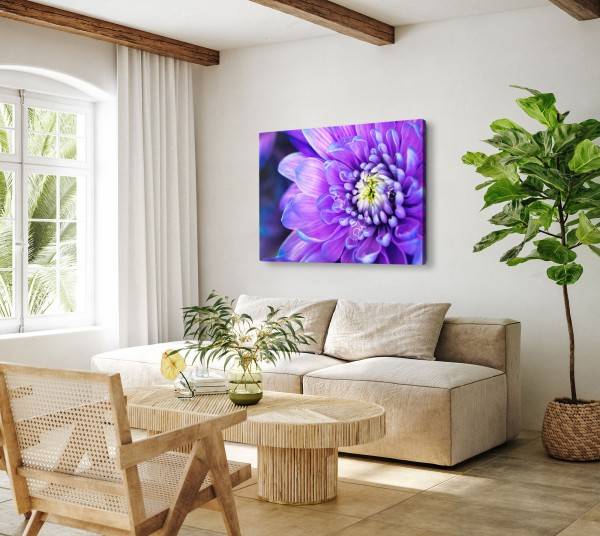 Paul Sinus Art 120x80cm Wandbild auf Leinwand Violette Blume Blüte Nahaufnahme Kunstvoll 50% Rabatt mit kostenlosem Versand