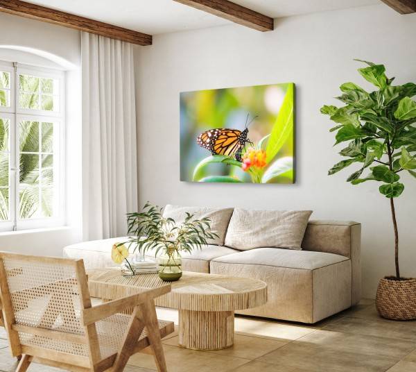 Paul Sinus Art 120x80cm Wandbild auf Leinwand Nahaufnahme Schmetterling Sommer Blume Clearance-Verkauf