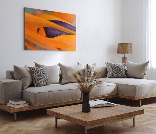 Paul Sinus Art 120x80cm Wandbild auf Leinwand Exotische Blume Nahaufnahme Orange Dekorativ Fabrikladen