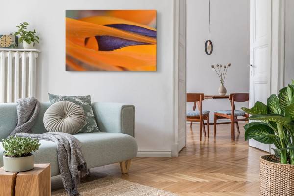 Paul Sinus Art 120x80cm Wandbild auf Leinwand Exotische Blume Nahaufnahme Orange Dekorativ Fabrikladen