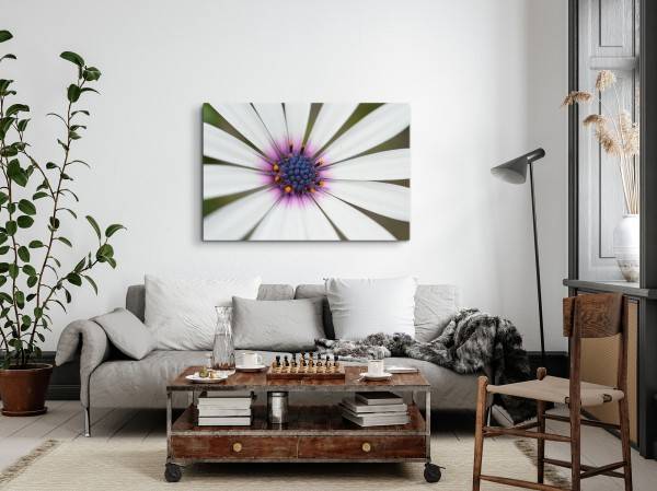 Paul Sinus Art 120x80cm Wandbild auf Leinwand Weiße Blume Blüte Makrofotografie Kunstvoll Begrenzt auf 3 Tage