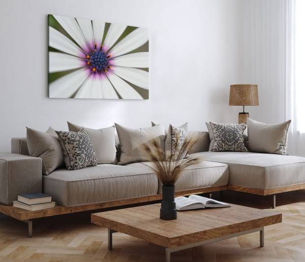 Paul Sinus Art 120x80cm Wandbild auf Leinwand Weiße Blume Blüte Makrofotografie Kunstvoll Begrenzt auf 3 Tage