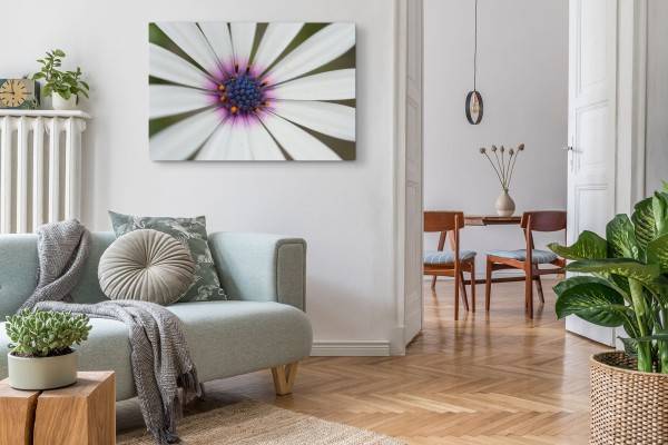 Paul Sinus Art 120x80cm Wandbild auf Leinwand Weiße Blume Blüte Makrofotografie Kunstvoll Begrenzt auf 3 Tage