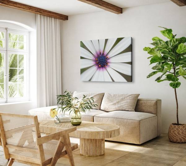 Paul Sinus Art 120x80cm Wandbild auf Leinwand Weiße Blume Blüte Makrofotografie Kunstvoll Begrenzt auf 3 Tage