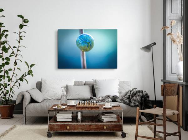 Paul Sinus Art 120x80cm Wandbild auf Leinwand Schneckenhaus Blau Makrofotografie Kunstvoll Natur Speichern exportieren