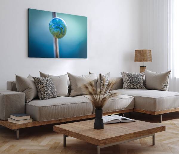 Paul Sinus Art 120x80cm Wandbild auf Leinwand Schneckenhaus Blau Makrofotografie Kunstvoll Natur Speichern exportieren
