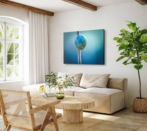 Paul Sinus Art 120x80cm Wandbild auf Leinwand Schneckenhaus Blau Makrofotografie Kunstvoll Natur Speichern exportieren