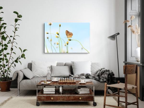 Paul Sinus Art 120x80cm Wandbild auf Leinwand Sommer Schmetterling Löwenzahn blauer Himmel Im Verkauf