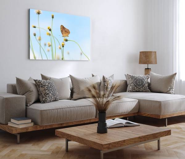 Paul Sinus Art 120x80cm Wandbild auf Leinwand Sommer Schmetterling Löwenzahn blauer Himmel Im Verkauf