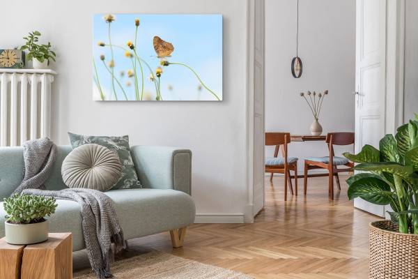 Paul Sinus Art 120x80cm Wandbild auf Leinwand Sommer Schmetterling Löwenzahn blauer Himmel Im Verkauf