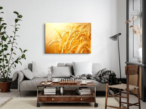 Paul Sinus Art 120x80cm Wandbild auf Leinwand Sonnenschein Weizen Natur Sommer Weizenhalme 50% Rabatt für begrenzte Zeit