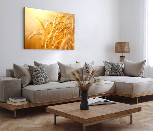 Paul Sinus Art 120x80cm Wandbild auf Leinwand Sonnenschein Weizen Natur Sommer Weizenhalme 50% Rabatt für begrenzte Zeit