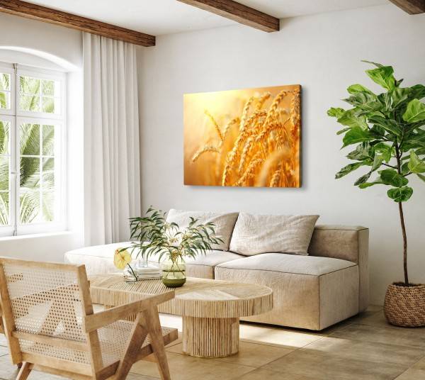 Paul Sinus Art 120x80cm Wandbild auf Leinwand Sonnenschein Weizen Natur Sommer Weizenhalme 50% Rabatt für begrenzte Zeit