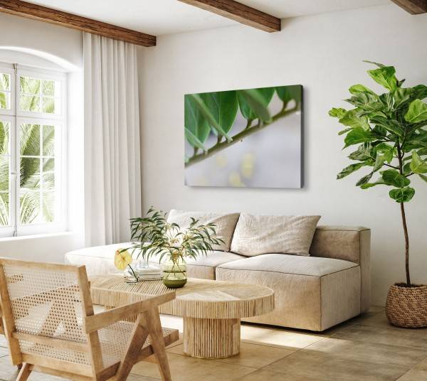 Paul Sinus Art 120x80cm Wandbild auf Leinwand Zimmerpflanze Nahaufnahme Grün Natur Pflanze Online
