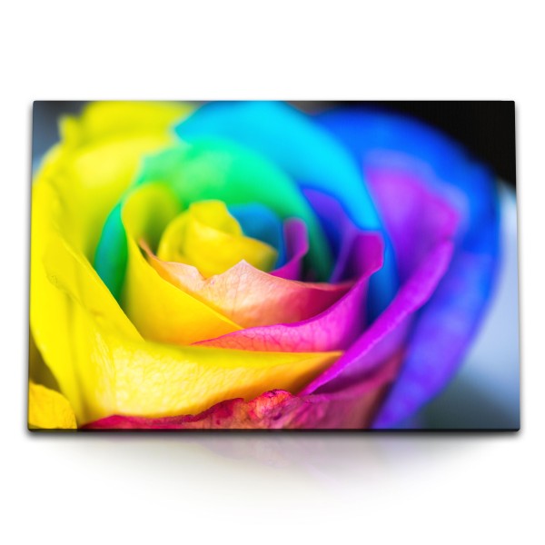 Paul Sinus Art 120x80cm Wandbild auf Leinwand Bunte Blume Blüte Farbenfroh Fotokunst Makro