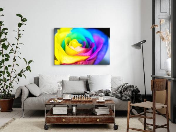 Paul Sinus Art 120x80cm Wandbild auf Leinwand Bunte Blume Blüte Farbenfroh Fotokunst Makro Verkauf