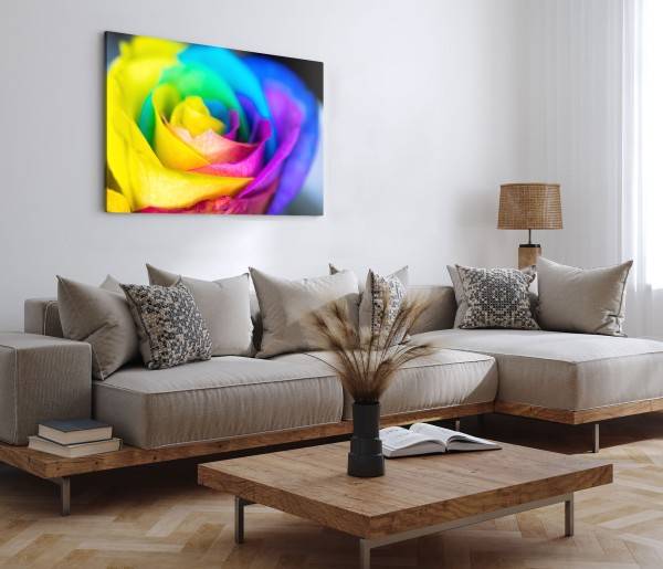 Paul Sinus Art 120x80cm Wandbild auf Leinwand Bunte Blume Blüte Farbenfroh Fotokunst Makro Verkauf