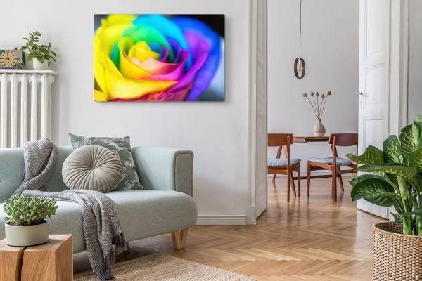 Paul Sinus Art 120x80cm Wandbild auf Leinwand Bunte Blume Blüte Farbenfroh Fotokunst Makro Verkauf