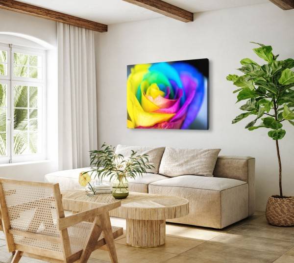 Paul Sinus Art 120x80cm Wandbild auf Leinwand Bunte Blume Blüte Farbenfroh Fotokunst Makro Verkauf