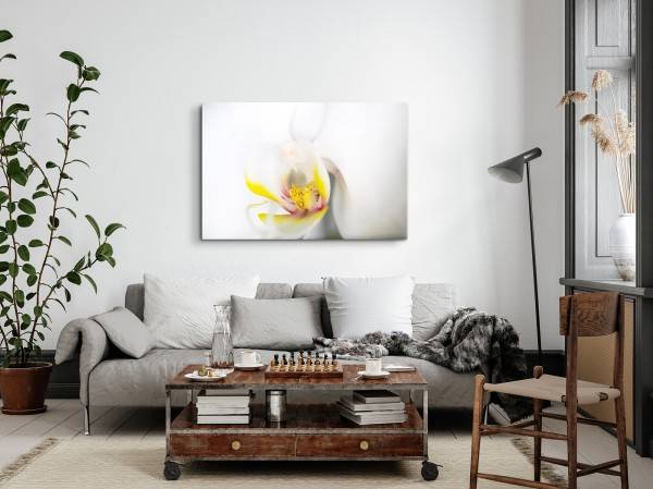 Paul Sinus Art 120x80cm Wandbild auf Leinwand Nahaufnahme Orchidee Blume Blüte Weiß Gelb Angebote