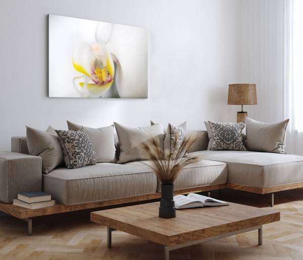 Paul Sinus Art 120x80cm Wandbild auf Leinwand Nahaufnahme Orchidee Blume Blüte Weiß Gelb Angebote