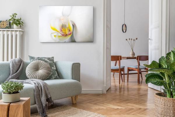 Paul Sinus Art 120x80cm Wandbild auf Leinwand Nahaufnahme Orchidee Blume Blüte Weiß Gelb Angebote
