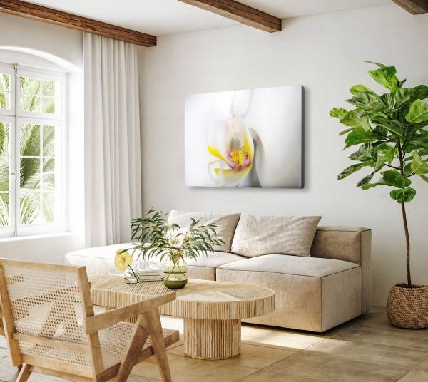 Paul Sinus Art 120x80cm Wandbild auf Leinwand Nahaufnahme Orchidee Blume Blüte Weiß Gelb Angebote