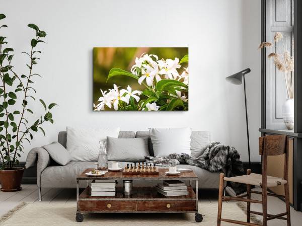 Paul Sinus Art 120x80cm Wandbild auf Leinwand Weiße Blumen Blüten Sommer Grün Natur Günstiger Verkauf