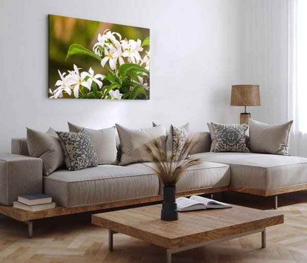 Paul Sinus Art 120x80cm Wandbild auf Leinwand Weiße Blumen Blüten Sommer Grün Natur Günstiger Verkauf