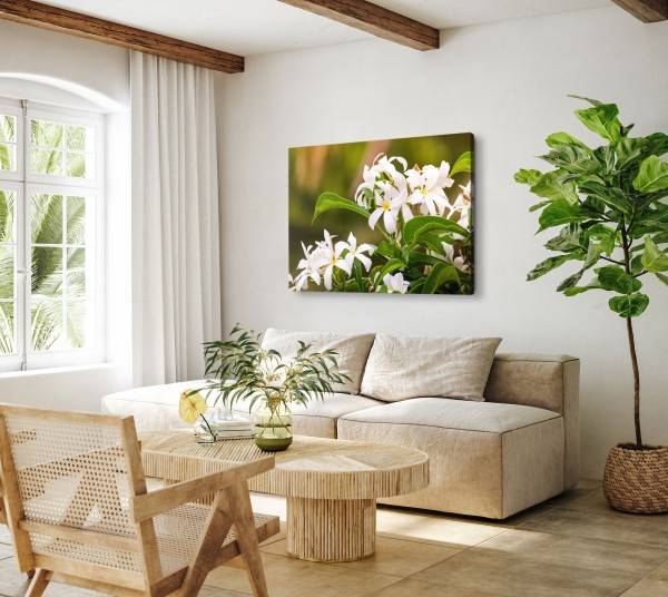 Paul Sinus Art 120x80cm Wandbild auf Leinwand Weiße Blumen Blüten Sommer Grün Natur Günstiger Verkauf