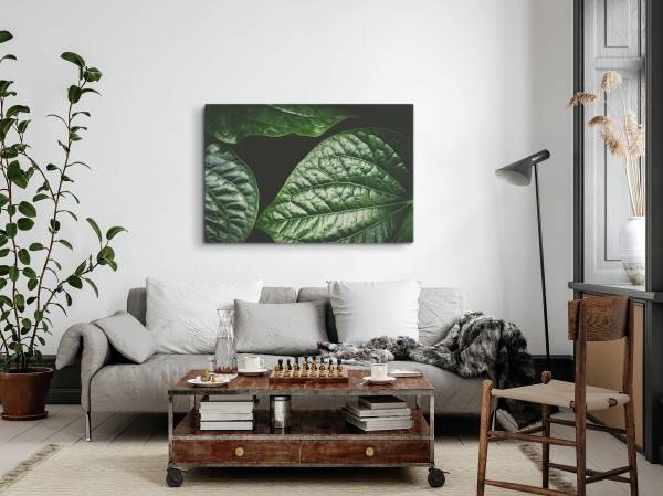Paul Sinus Art 120x80cm Wandbild auf Leinwand Grüne Pflanzenblätter Natur Dunkel Kunstvoll Fabrikverkauf