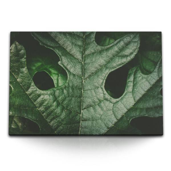 Paul Sinus Art 120x80cm Wandbild auf Leinwand Grünes Pflanzenblatt Makrofotografie Natur Kunstvoll
