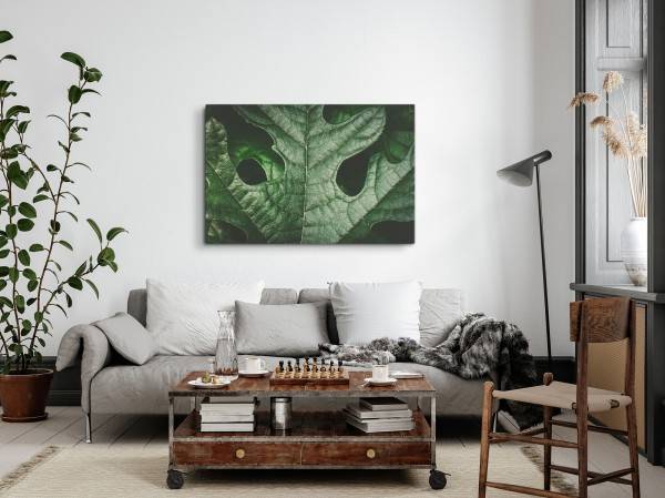 Paul Sinus Art 120x80cm Wandbild auf Leinwand Grünes Pflanzenblatt Makrofotografie Natur Kunstvoll Meist gekauft