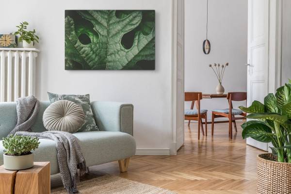 Paul Sinus Art 120x80cm Wandbild auf Leinwand Grünes Pflanzenblatt Makrofotografie Natur Kunstvoll Meist gekauft