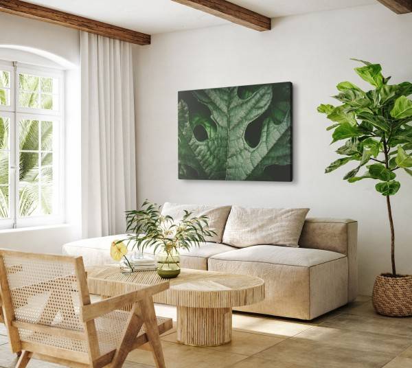 Paul Sinus Art 120x80cm Wandbild auf Leinwand Grünes Pflanzenblatt Makrofotografie Natur Kunstvoll Meist gekauft