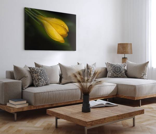 Paul Sinus Art 120x80cm Wandbild auf Leinwand Gelbe Blume Makrofotografie Natur Regentropfen Grün Blitzverkäufe