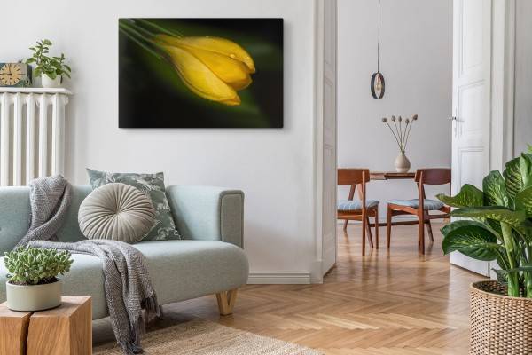 Paul Sinus Art 120x80cm Wandbild auf Leinwand Gelbe Blume Makrofotografie Natur Regentropfen Grün Blitzverkäufe