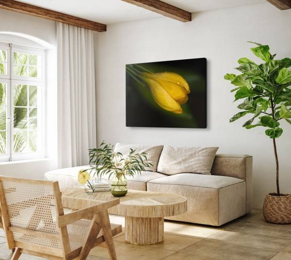 Paul Sinus Art 120x80cm Wandbild auf Leinwand Gelbe Blume Makrofotografie Natur Regentropfen Grün Blitzverkäufe